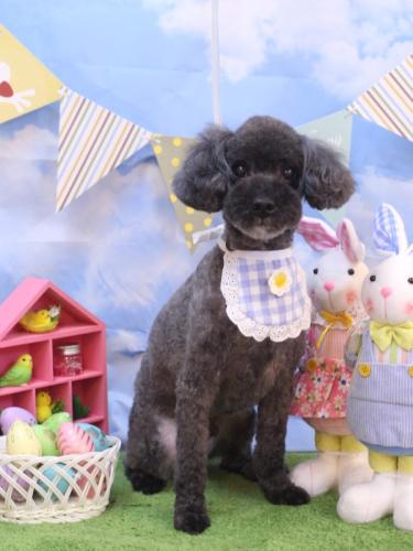 20240303ペコくん